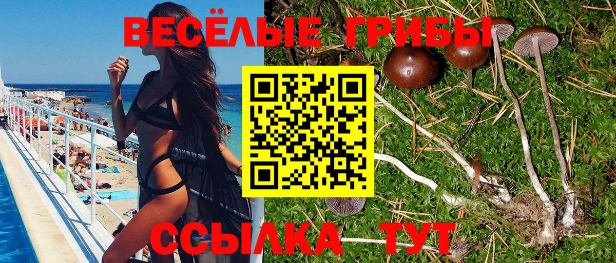 Галлюциногенные грибы мицелий  Вход с VPN  Уссурийск 