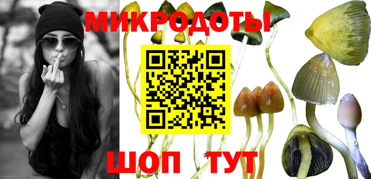 Галлюциногенные грибы Magic Shrooms Уссурийск